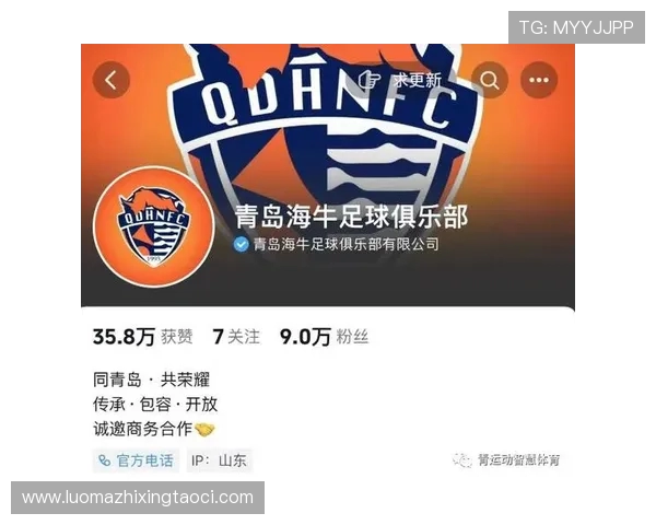 足球赛事中的社交媒体运营与粉丝扩展