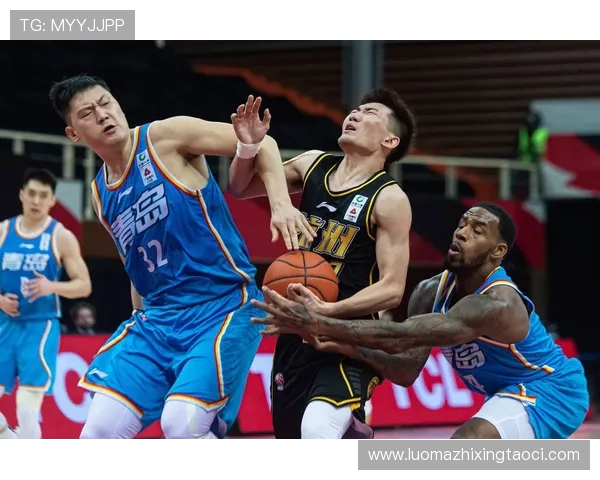 青岛足球与CBA球队排名对比，谁更具影响力？