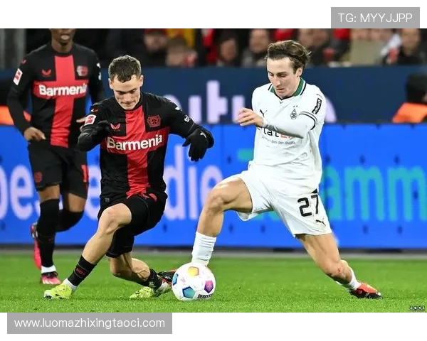 德甲有哪些厉害的球队？实力与战绩全面盘点